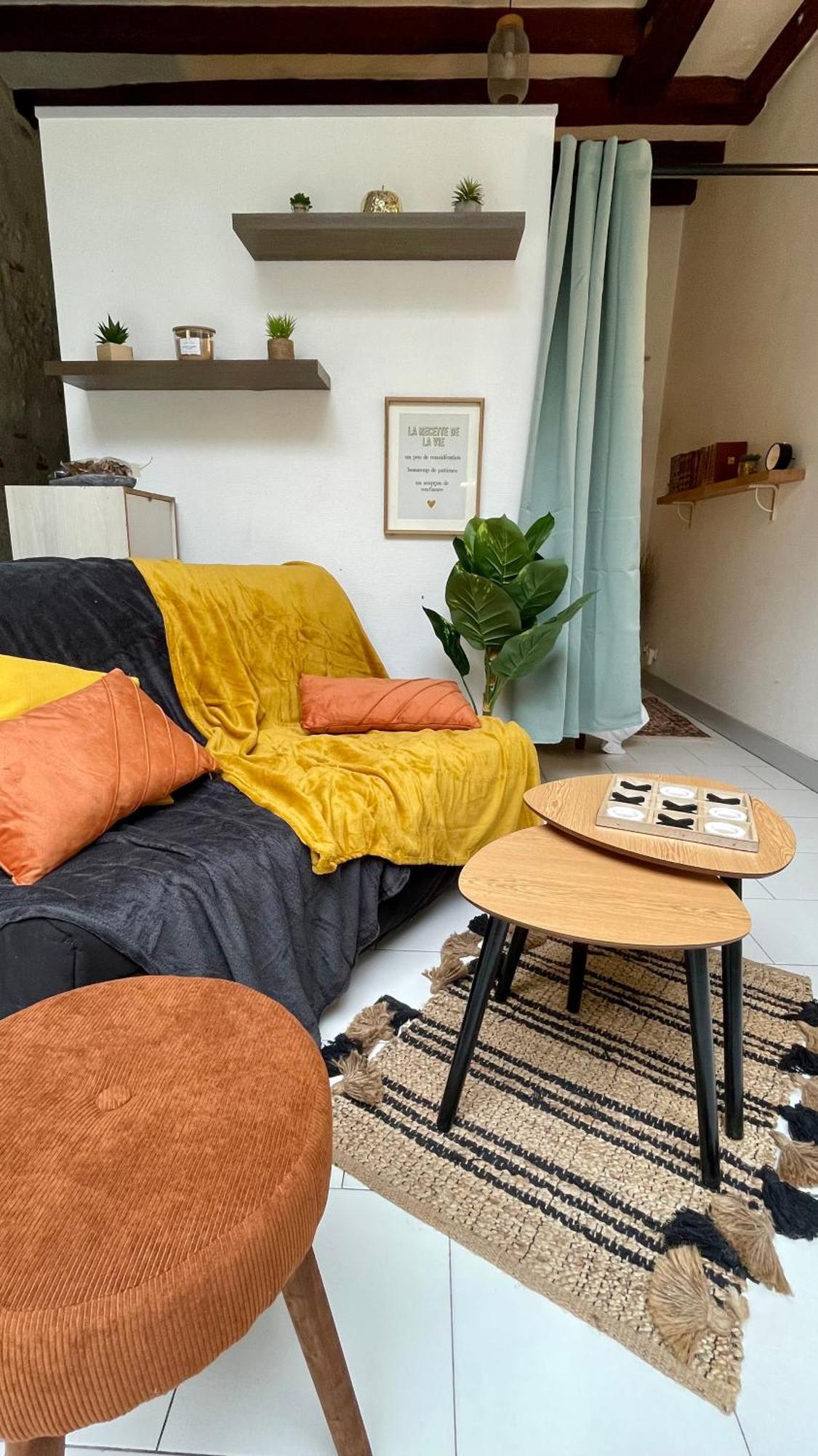 Studio Cosy Hypercentre Terrasse Blois Zewnętrze zdjęcie